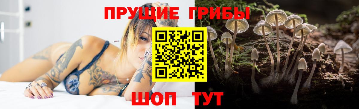 Псилоцибиновые грибы GOLDEN TEACHER  Вход с VPN  Галлюциногенные грибы GOLDEN TEACHER  где найти   Южноуральск 
